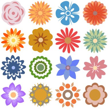 Birden fazla çiçek - çeşitli renk