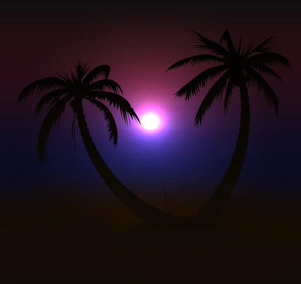 Coucher de soleil sur la plage — Image vectorielle