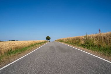 Ülkedeki tarlalar arasındaki yol