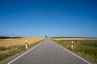 Kırsaldaki tarlalardan geçen boş bir yol.
