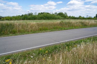 Çevredeki çimenler ve ağaçlar arasındaki yol