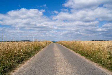 Yaz aylarında tarlalar arasında kırsal yol