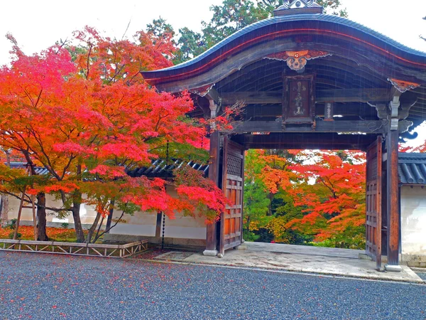 Nison-in Kyoto — Stockfoto