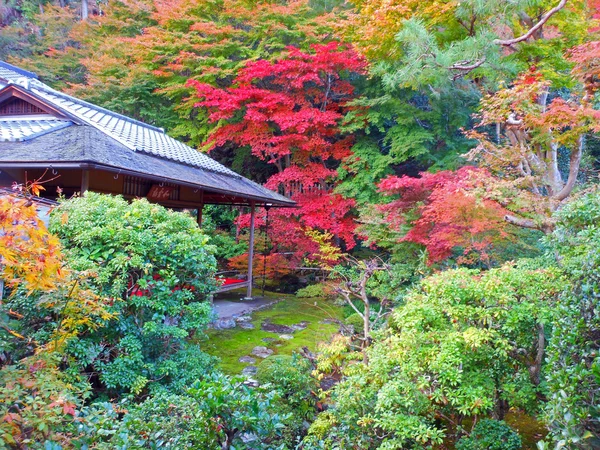 Rode bladeren in Kyoto — Stockfoto