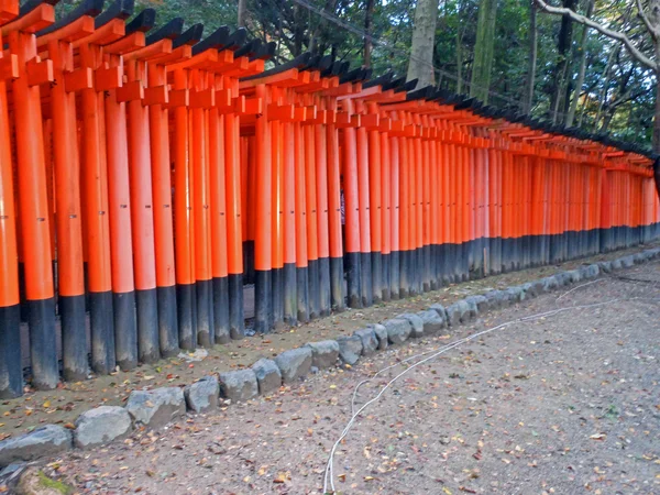 Torii, porta tradizionale giapponese — Foto Stock