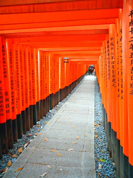 Torii, traditionelles japanisches Tor — Stockfoto