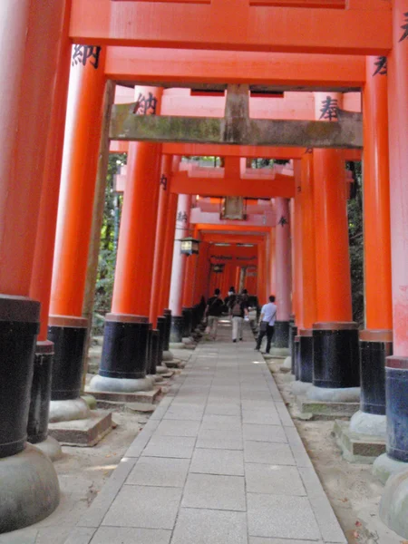 Torii, puerta tradicional japonesa —  Fotos de Stock