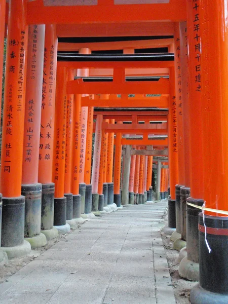 Torii, puerta tradicional japonesa — Foto de Stock