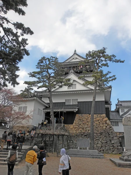 愛知県の岡崎城 — ストック写真