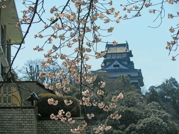 Inuyama-Burg in Aichi — Stockfoto