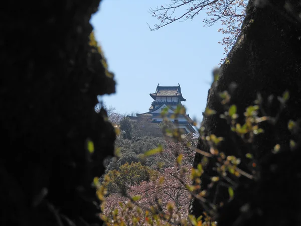 Château d'Inuyama à Aichi — Photo