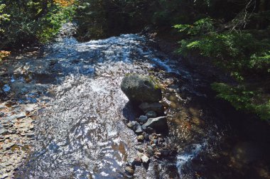 Nagano içinde güzel nehir