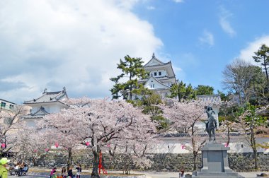 Gifu Ogaki kalede