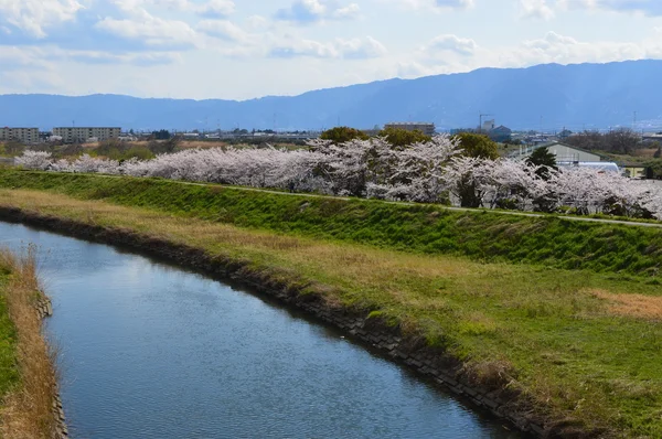 Kamikochi a Nagano — Foto Stock