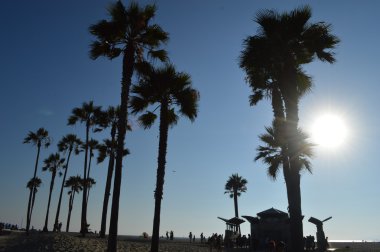 Venice beach Los Angels