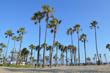 Venice beach Los Angels