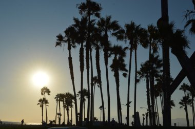 Venice beach Los Angels
