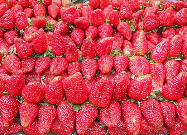 O morango vermelho e doce — Fotografia de Stock