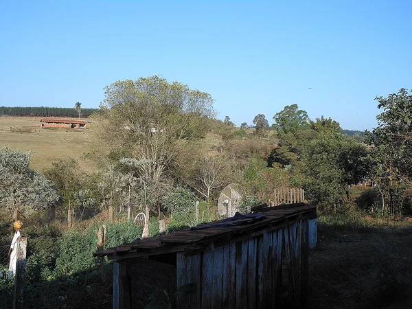 La vue d'un lieu agricole au Brésil — Photo