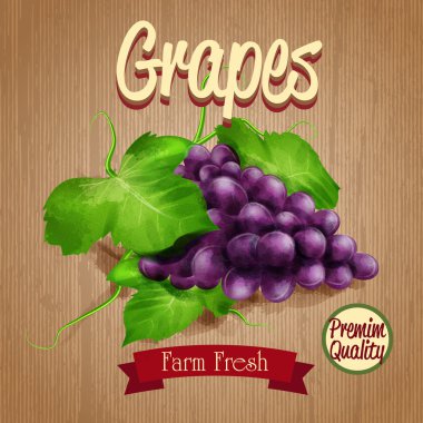 Banner için şarap evi