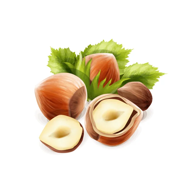 Savoureux noix nourriture — Image vectorielle