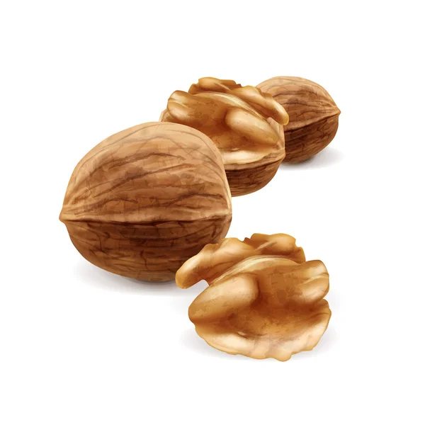 Smakelijke noten voedsel — Stockvector