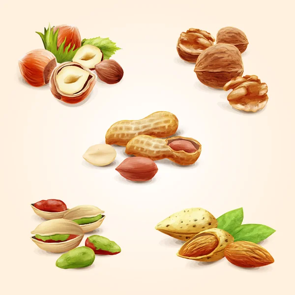 Frutos secos iconos alimentos — Vector de stock