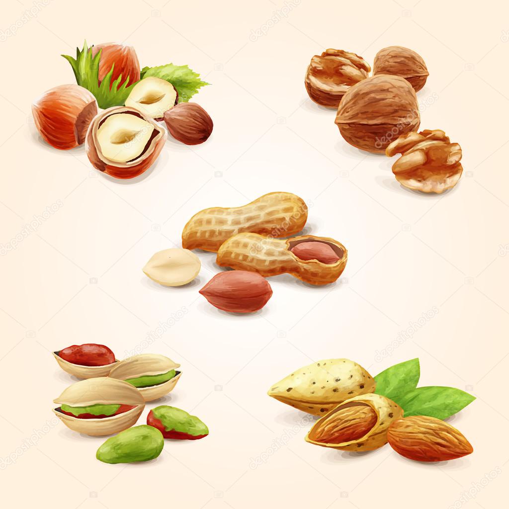 nuts icons food