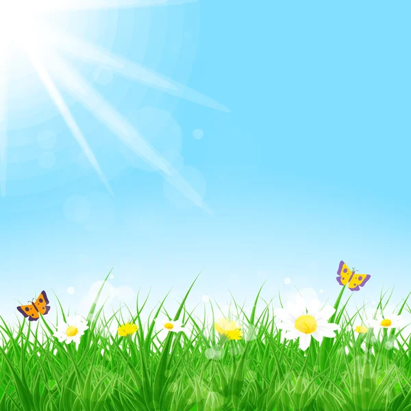 Πράσινο γρασίδι με λουλούδια, τοπίο την άνοιξη — Διανυσματικό Αρχείο