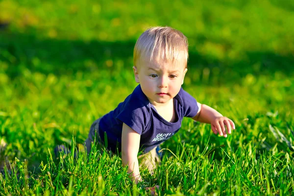 Küçük çocuk ile yeşil çim tarar