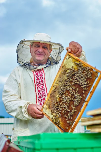Arı kovanı bal karede ile arıcı