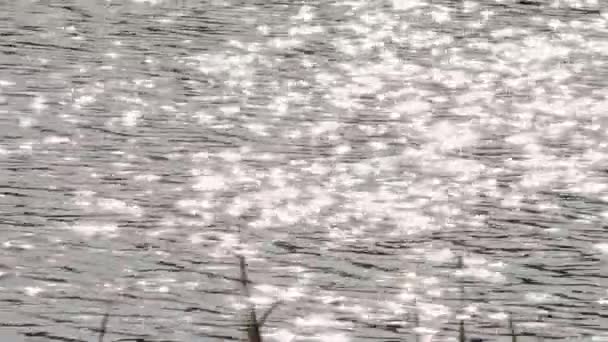 Ljus, solsken reflekterar och leker på vattnet. — Stockvideo