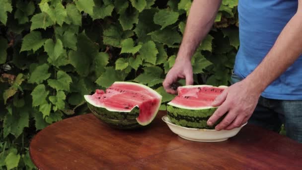Der Mann schneidet mit einem Messer eine Scheibe Wassermelone ab, legt sie daneben. — Stockvideo