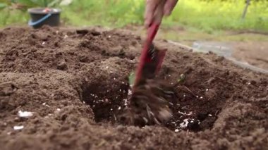 Yakın plan kadın eli spatulayla bir delikte gübreyi karıştırıyor..