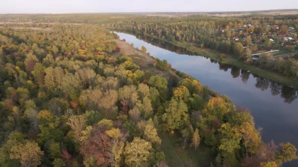 Vuelo sobre la orilla de un amplio río con un denso bosque. — Vídeos de Stock