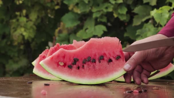用刀把男性的手从西瓜的果肉中取出骨头 — 图库视频影像