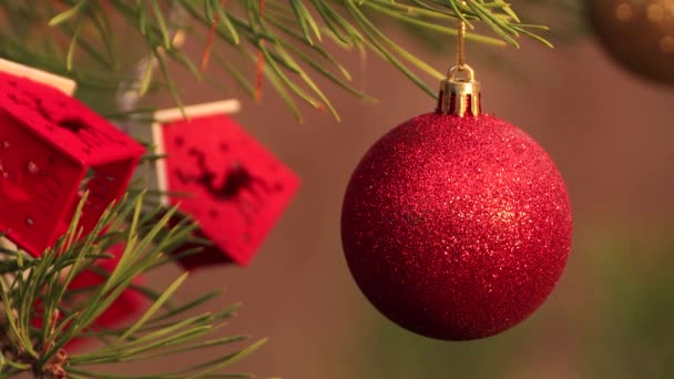 Op kerstavond hangt er een rood glanzende bal aan de boom.. — Stockvideo