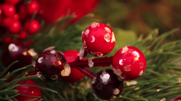 In der Weihnachtsnacht schwanken rote Perlen am Baum. — Stockvideo