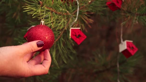 En la noche de Navidad, una mano femenina endereza una bola roja en el árbol. — Vídeo de stock