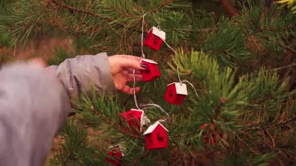 På julafton, kvinnors händer rätar ut körteln på trädet. — Stockvideo