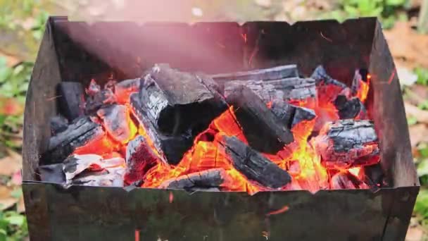 Un ventilador que aviva las brasas rojas en la parrilla. — Vídeos de Stock