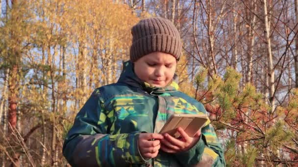 Un garçon sur un fond de végétation jaune tient une tablette et la regarde — Video