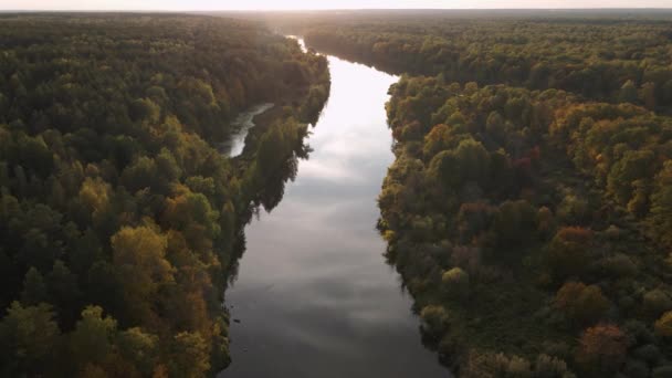 Vol le soir le long de la rivière avec les rives envahies par les arbres. — Video