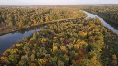 Yoğun bir ormanın üzerinden uçup nehrin üzerinde duruyor..