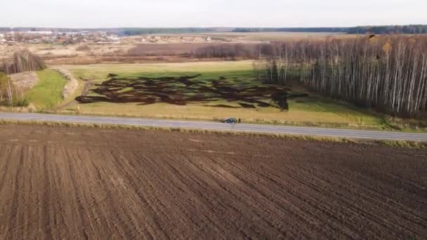 Stigande över ett fält med en väg och ett mönster av gödselmedel och grönt gräs. — Stockvideo