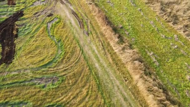 Vol en douceur sur un chemin de terre le long d'un champ avec des engrais organiques. — Video