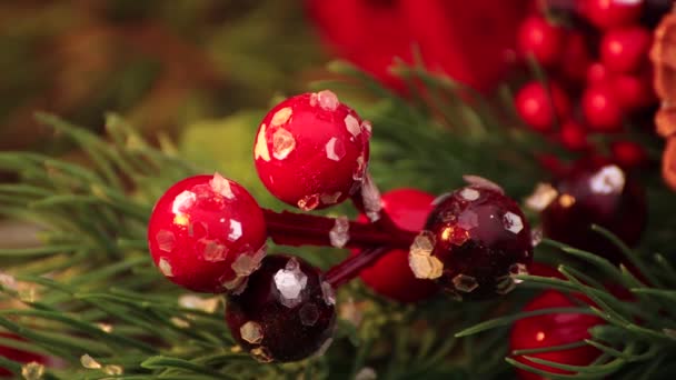 La notte di Natale, perline rosse pendono e oscillano dall'albero. — Video Stock
