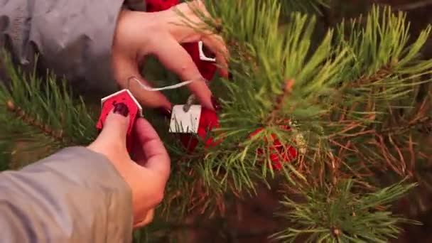 An Heiligabend schmücken Frauenhände den Baum mit einem Kranz. — Stockvideo