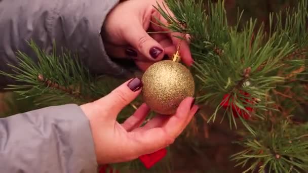 En la noche de Navidad, las manos femeninas decoran el árbol con una bola de oro. — Vídeo de stock