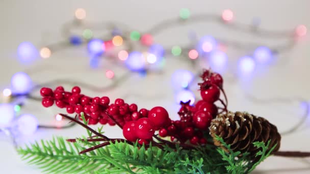 Groene tak met rode bessen, kerstboom decoratie met bokeh rug. — Stockvideo